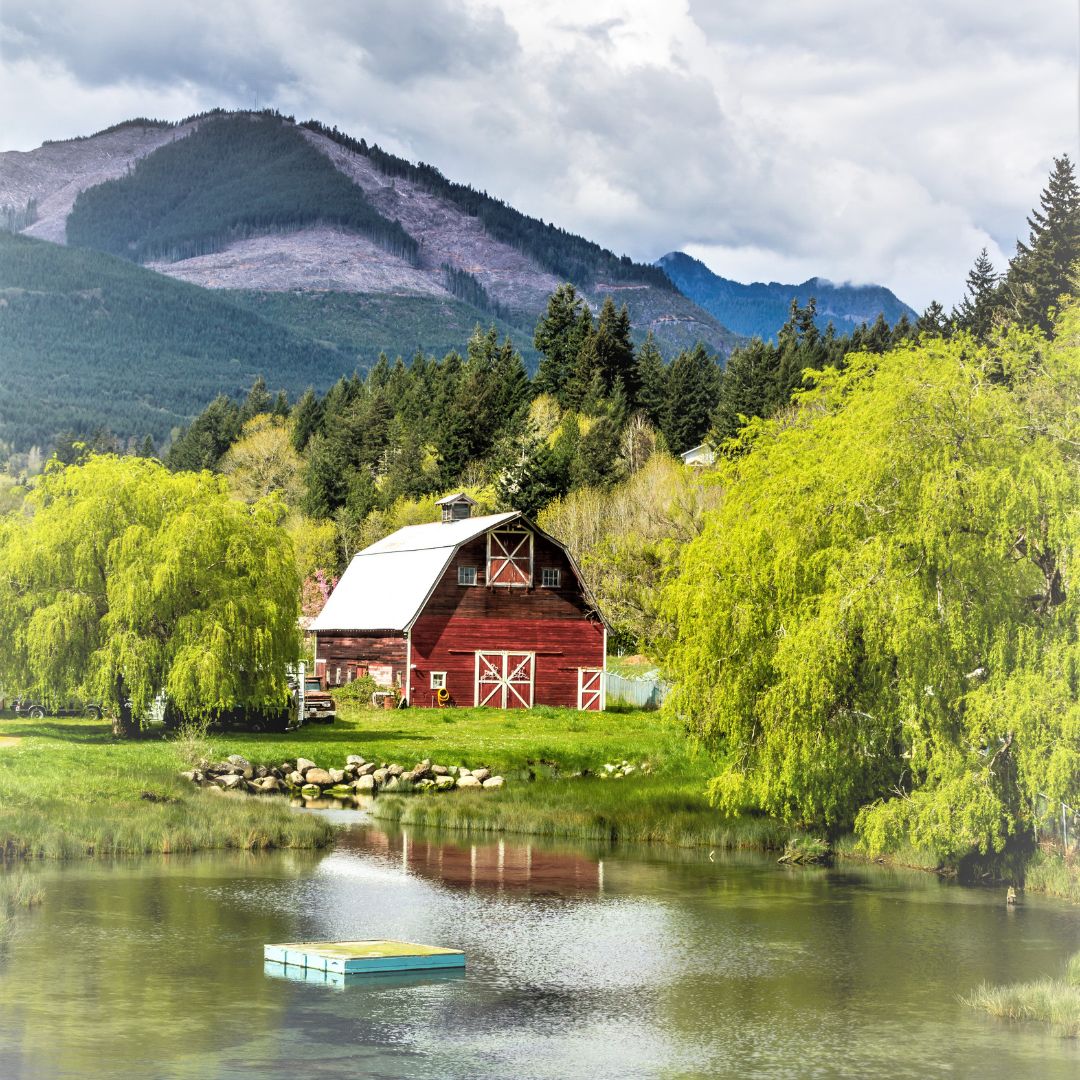 The Montana Trails of Clearwater County Collection BUNDLE