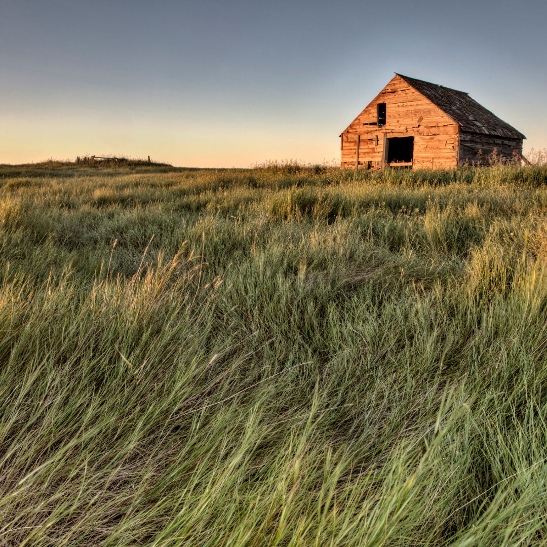 The Montana Trails of Clearwater County Collection BUNDLE